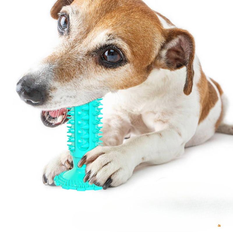 Dog Toy Suction Cups, Sound-emitting Teething Sticks, Biting Dog Toothbrushes, Pet Supplies