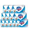 Safeguard Sea Salt Fresh Clean Bar Soap (100g X 12-Pack)