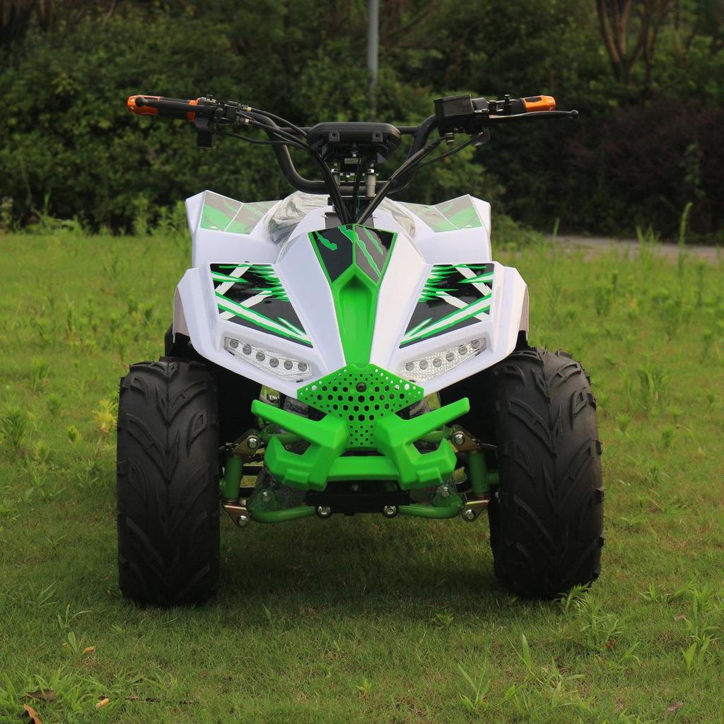 Little Falcon 125CC Kids' Off-Road Electric ATV