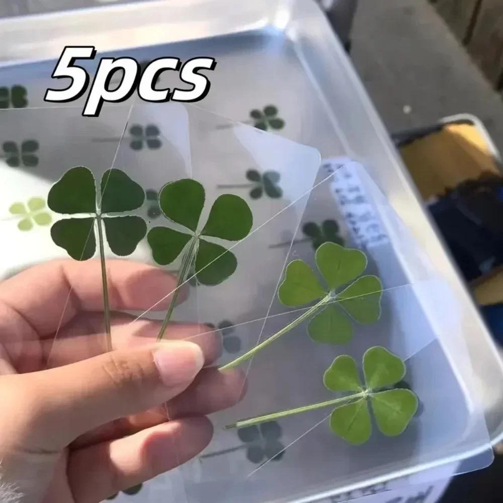 

5Pcs Lucky Clover Postcards Natural Grass Transparent Wishing Cards Ideal for Bookmarks & Decorations Perfect Holiday Gifts