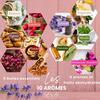L&amp;G® - Kit thé infusion préparation et dégustation - Honeybush, Rooibos, Vert Sancha, Maté - Infuseurs inclus