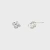 Silver Earrings SC1779