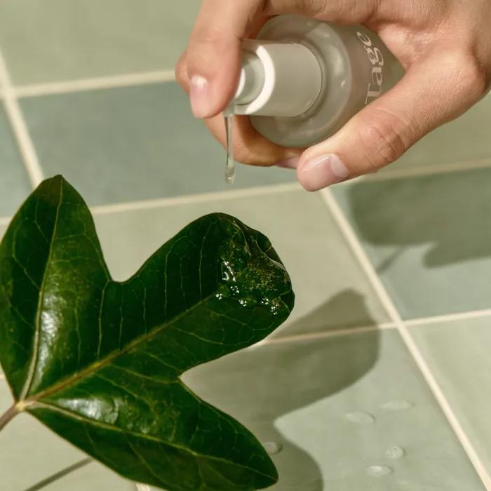 

[Vegan Cypress Calming Serum] Calming Serum in Cypress