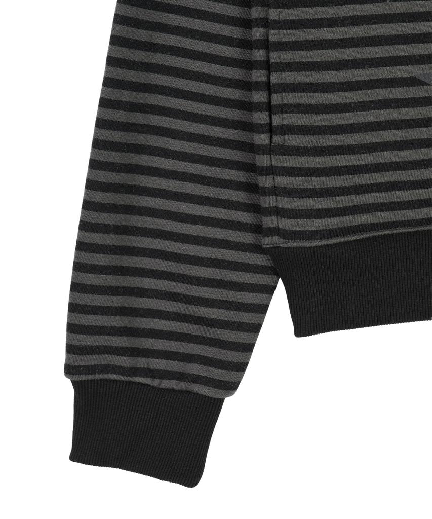 Dandel Dd Type Stripe Hoodie Zip-Up (Black)