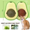 Catnip Ball Cat Toy Cat Wall Treats Silvervine Catnip Toys for Indoor Cat, Cat Teeth Grinding Chew Toys Teeth Cleaning Roller