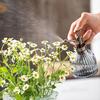 Retro Vertical Stripe Glass Watering Can Colorful Water Pot Gardening Succulent Potted Plant Watering Sprayers Home Decoration