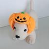 Pumpkin Hat Dog Cat Halloween Costume