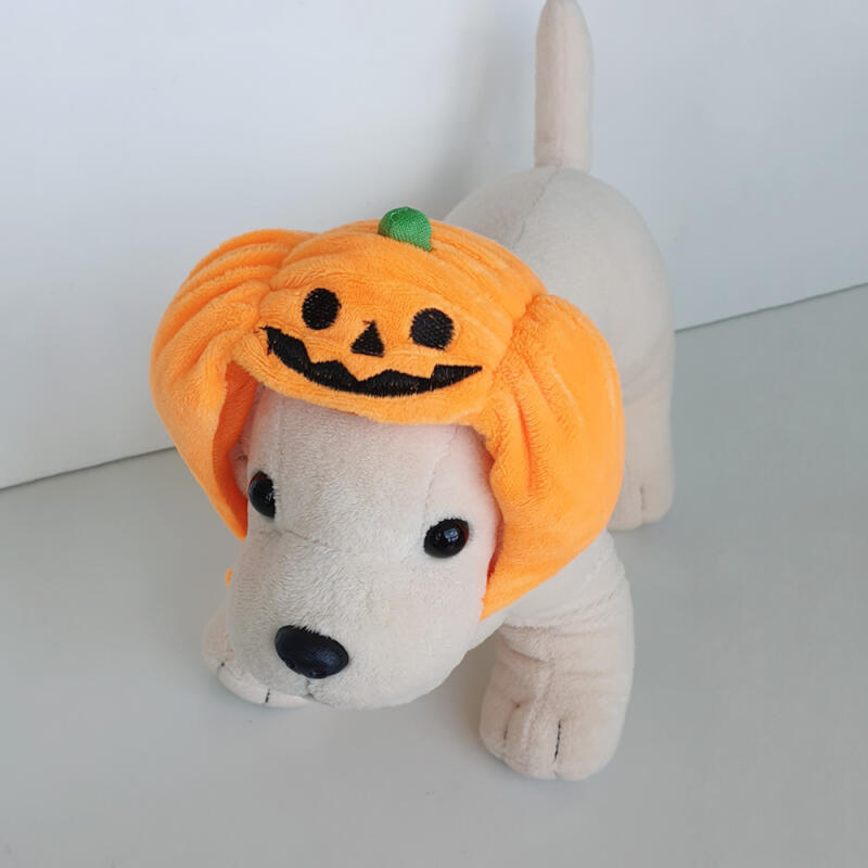 Pumpkin Hat Dog Cat Halloween Costume