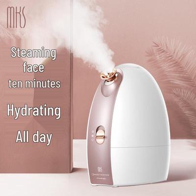 MKS Nano Cold & Hot Facial Steamer CN Plug (adapter Included)