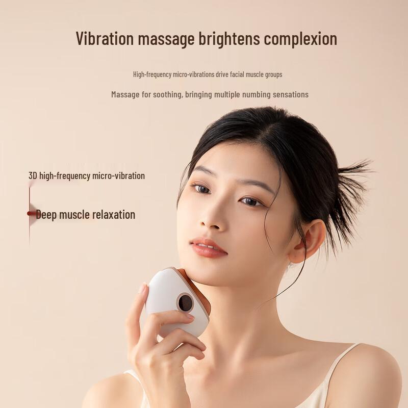 Red Bian Stone Electric Gua Sha Massager Gift Set