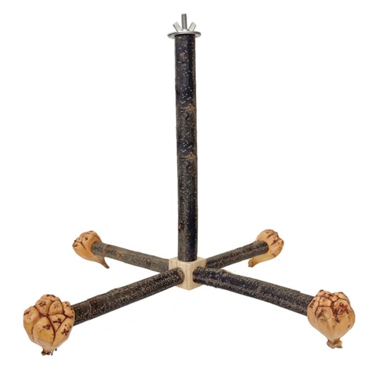 Bird Perch Nature Molar Stand for Parrots Conure Supplies Budgies Grinding Scratchers for Small Medium Parrots Toy