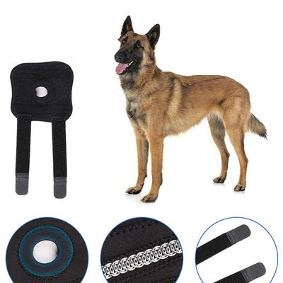 Genouillères pour chien - Support fixe pour récupération de blessure - Protection pour animaux de compagnie - Soulagement de la douleur - Couvre-pieds - Enveloppement des articulations des jambes - Soutien pour animaux de compagnie