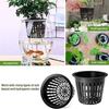 Hydroponic Planting Basket, Soilless Cultivation 3-Inch Seedling Cup, Plastic Mesh Pot for Vegetables, Herbs, and Garden Seedlings