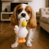 Cartoon Pet Latex Toys Pelican Shape Squeaky Dog Toys Funny Teeth Grinding Toys  for Cats and Dogs