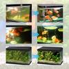Aquarium Water Purifier Algae Removal Powder Powerful Aquarium Water Purification Powder Aqua Water Purifying for Fish Tank Water Turbidity Removal