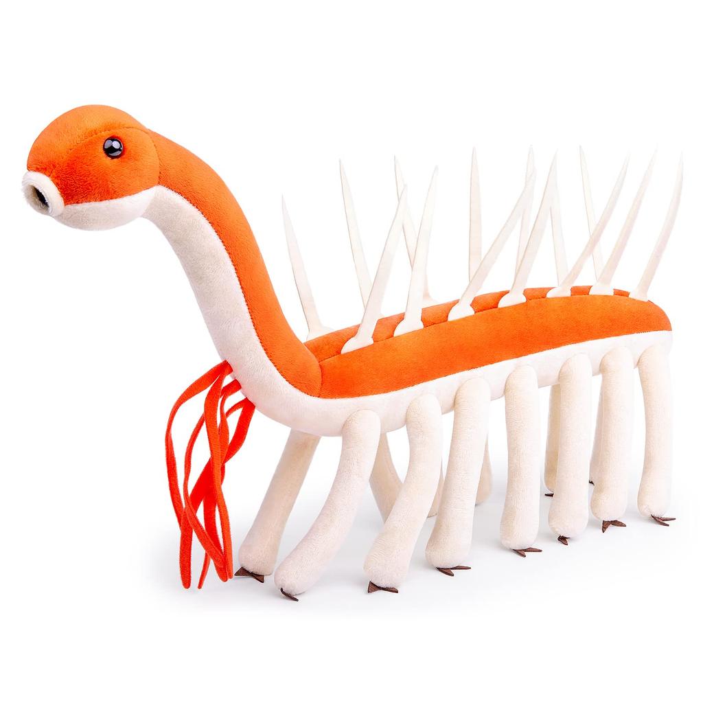 ZHONGXIN MADE Realistic Cambrian Ancient Creature Strange Plush Cambrian Sea Creature Strange Plush Animal Funny Plush Toy Gift for Toy, Model, Kids,