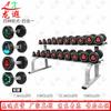 Longxia 10kg Fixed Coated Dumbbell Set