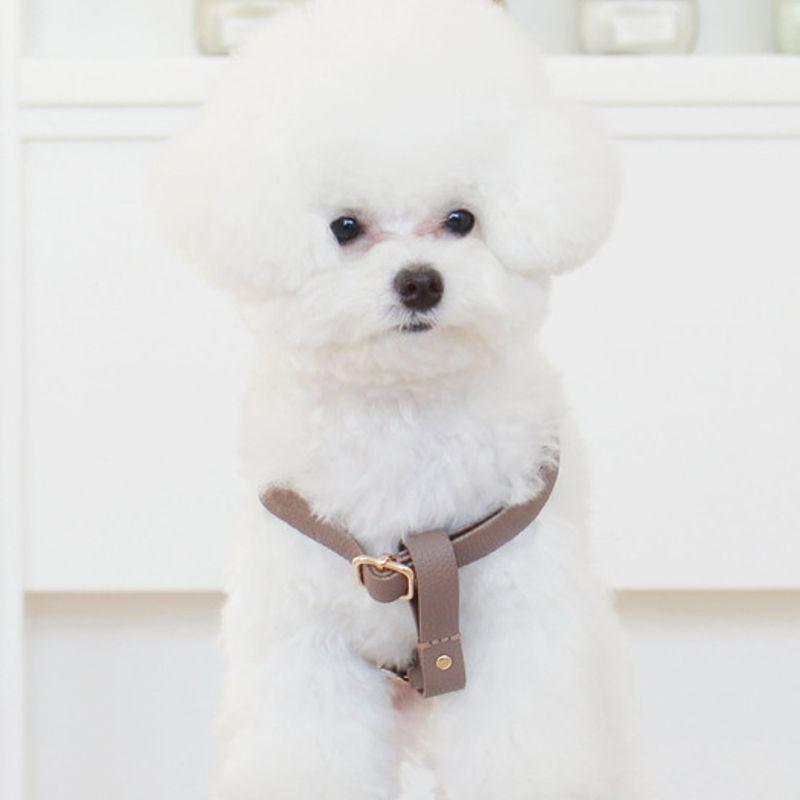 MAISON DE MIU Running Mate Harness_Brown