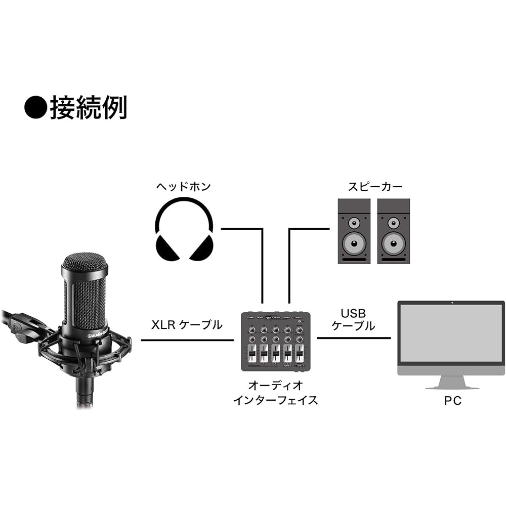 Audio-Technica AT2035 Condenser Microphone Single Directional/Low Cut Switch/Pad Switch/Exclusive...
