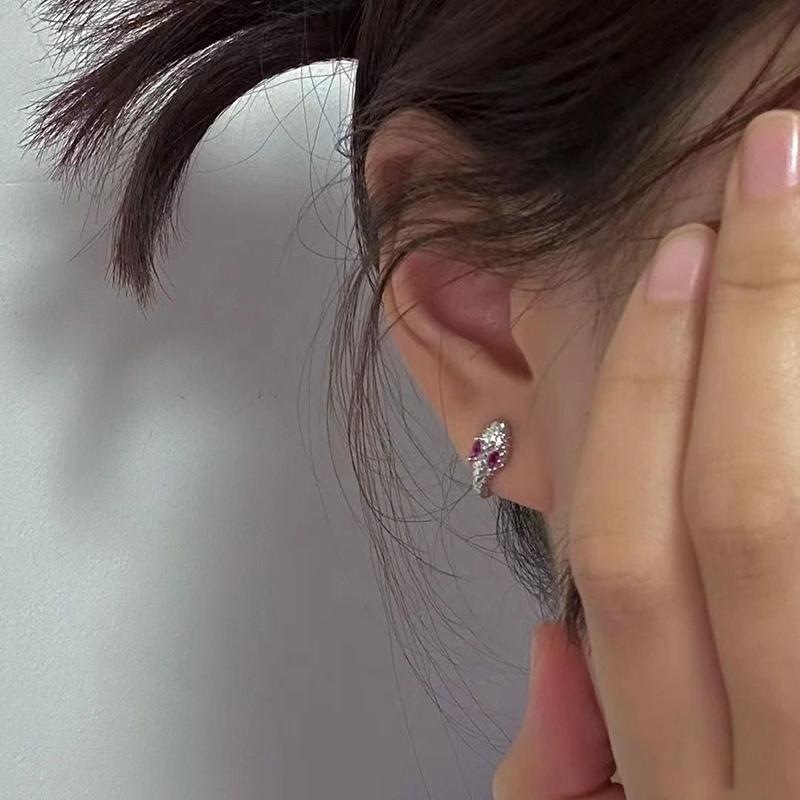 Асимметричная серьга-пряжка в виде змеи, маленькие темпераментные серьги с высоким чувством стиля, серьги с простым дизайнерским чувством 1