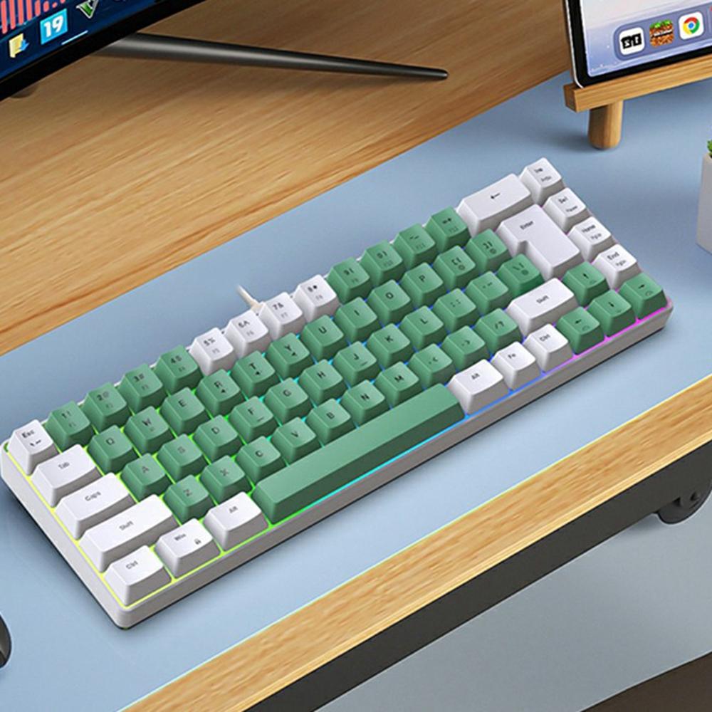 

Y-FRUITFUL K701 68 клавішна дротова клавіатура з RGB підсвічуванням Механічна ігрова клавіатура White+Green