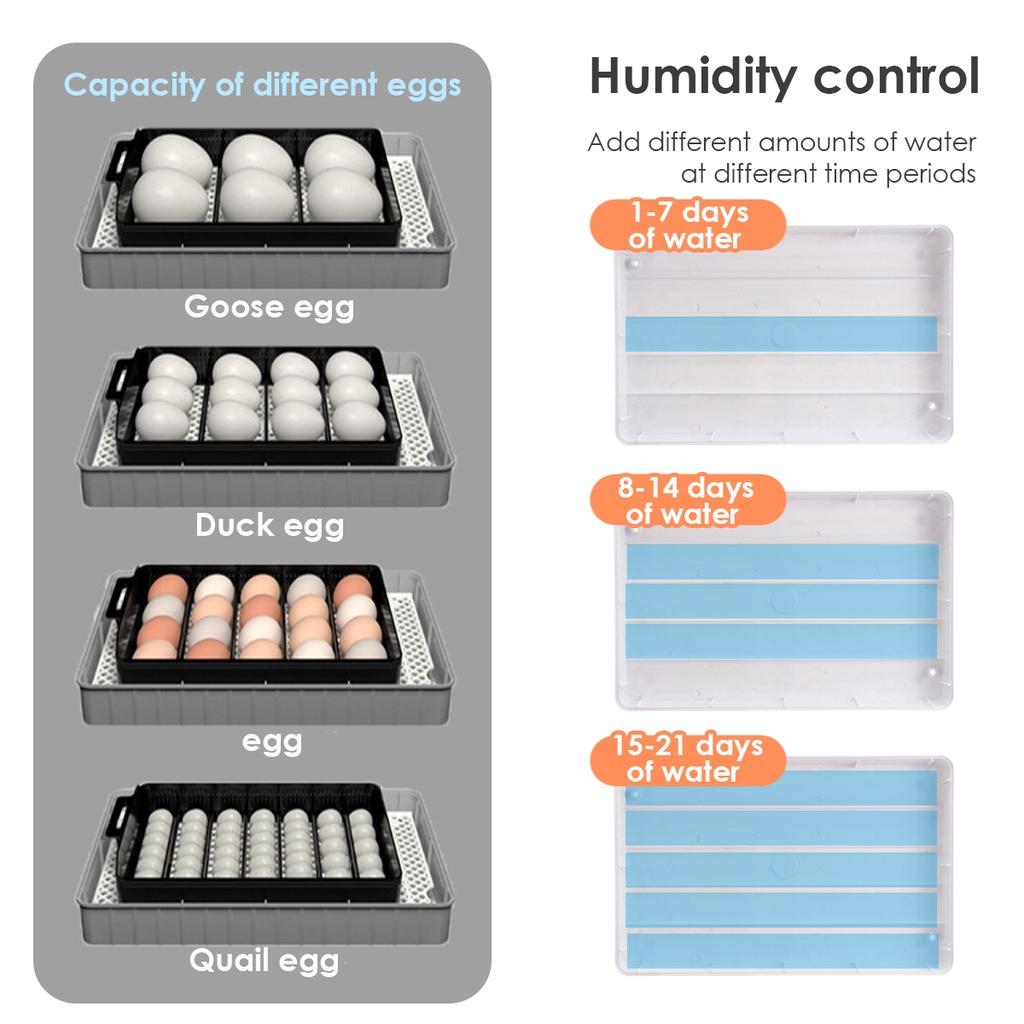 AC 110-220V Automatic Incubator 20 Chick Egg Large Capacity Incuator Digital Temperature Control Brooder Quality Hatchery Machine Black+White