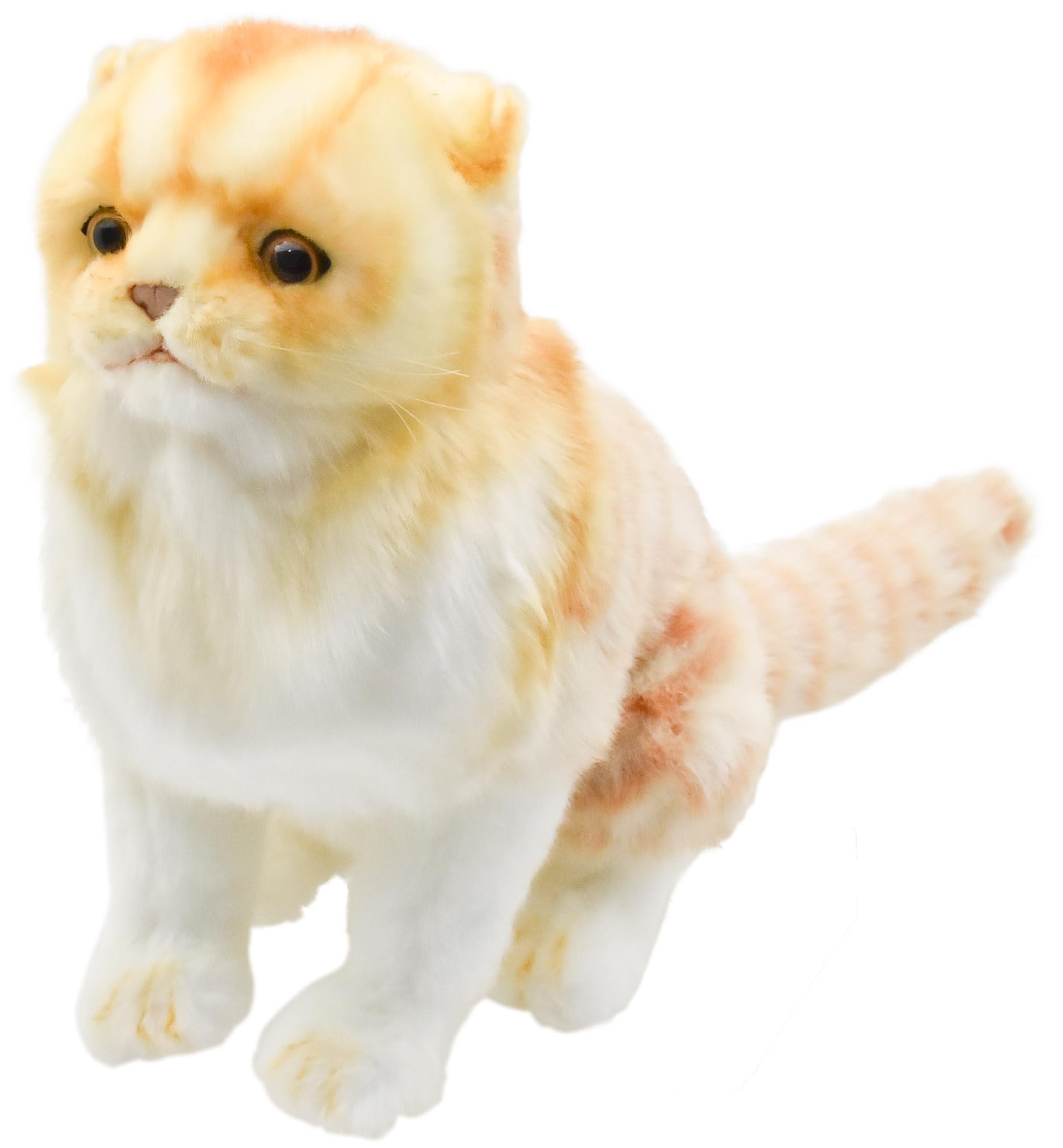 

BH8156 HANSA Шотландский F. Имбирь 27