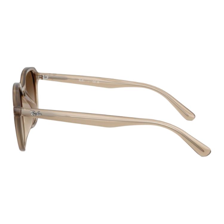 Ray-Ban Round Sunglasses Unisex sunglasses Brown RB4459D_616613