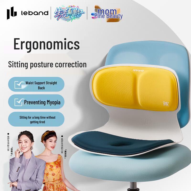 Leravan Ergonomic Posture Correction Massage Cushion