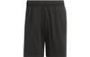 Casual Shorts Men's Black IL2301