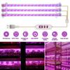 1 buc Roșu Albastru LED Lampă de Creștere Bandă Tub Plantă de Interior USB Spectru Complet Lampă Fito Dimmabilă Temporizator Răsaduri Vegs Floare Lampă