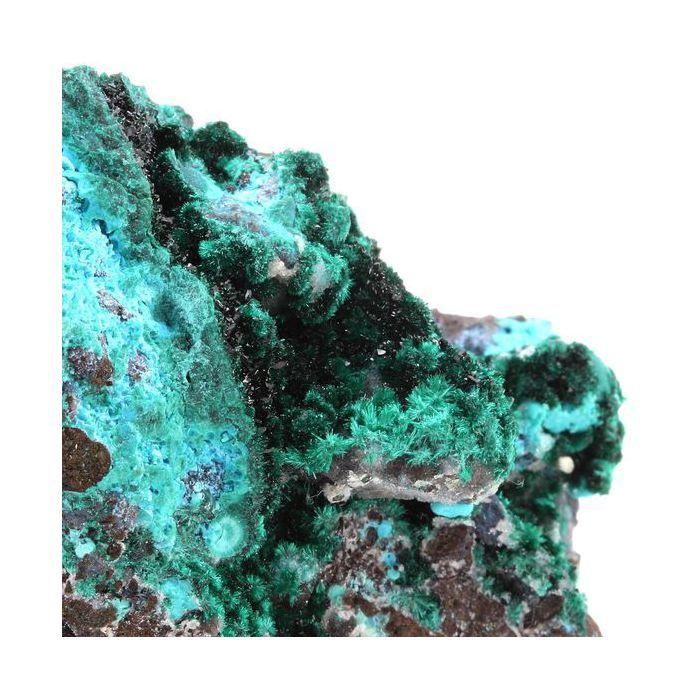 Pierres et Minéraux. Brochantite + Chrysocolle + Atacamite. 1035.0 ct. Atacama Region, Chili.