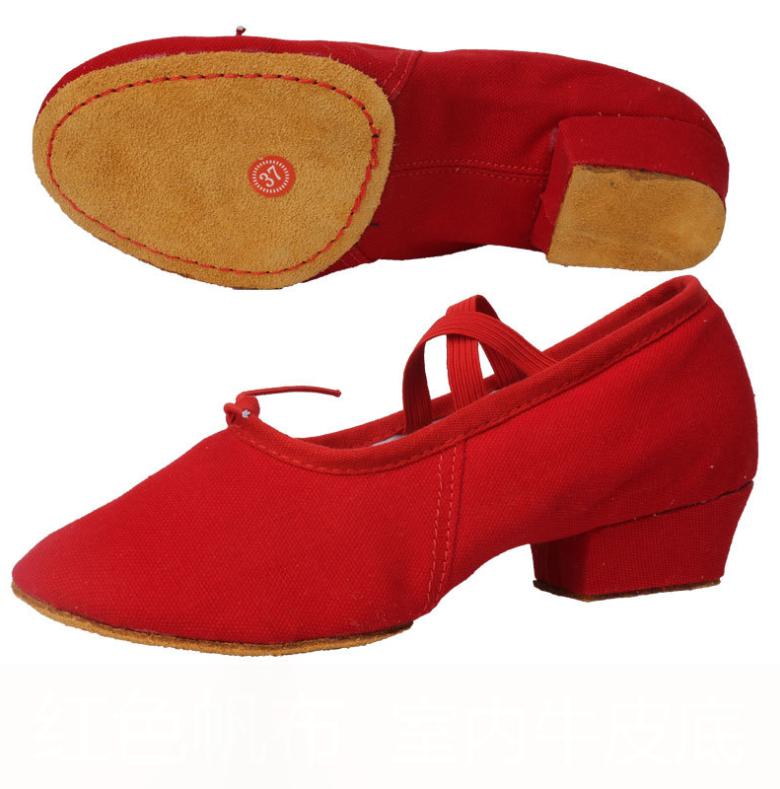 Latin Dance Shoes for Woman Girls Ladies Practise Teachers Shoes Graffiti Ballroom Modern Tango Jazz Dancing Shoe