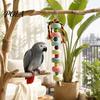 Parrot Beak Grinding Stone Stone, Colorful Beaded Chew Toy with Bell, Birdcage Care Hanging for African Grey Cockatiels Budgies Anxiety And