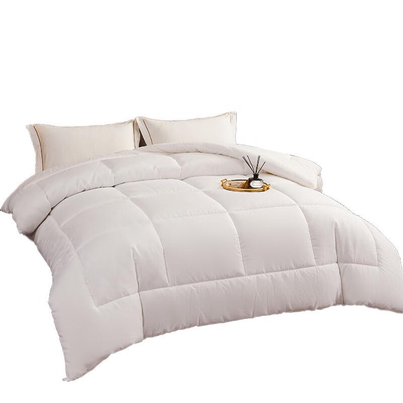 XILUOLAN Brushed Skin-Friendly Winter Quilt 5.8 jin