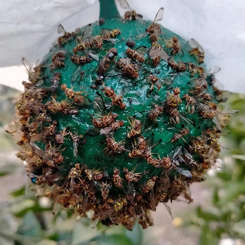 Yellow Green Sticky Fly Traps Fruit Fly Oriental Fruit Fly Pest Control Balls for Garden Orchard Vegetable Plants