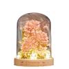 Exquisite Design Tree Building Block Kit With Ambient Light Flower Assembly Blocks  Children Toy