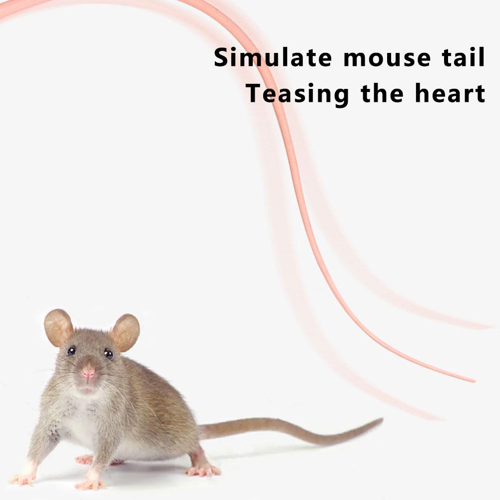 Katzenspielzeug aus Silikon mit simuliertem Mäuseschwanz, interaktives, bissfestes Katzenspielzeug, langlebig und sehr unterhaltsam