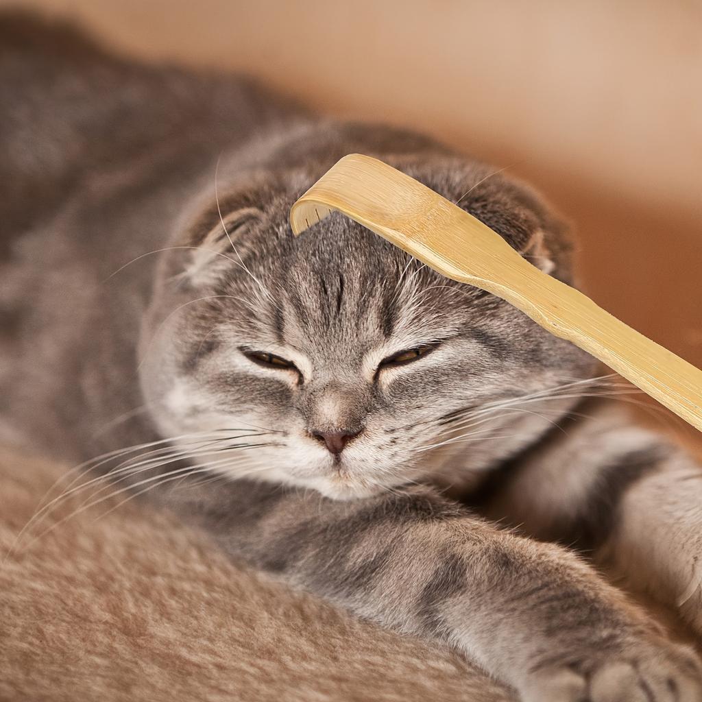 3pcs 18.3 Inch Back Scratcher, Bamboo Back Scratcher with Long Handle, Portable Novel Gifts for Family Friends, Christmas & Thanksgiving