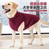 Im Winter ist die Hundeweste aus Samt, warm und bequem, die Hundekleidung zum Entspannen ist ungezwungen und die Hundekleidung wird getragen.