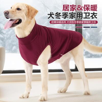 In Winter, the Dog Vest Is Velvet, Warm and Comfortable, the Dog Loungewear Is Unrestrained, and the Dog Clothes Are Worn.