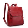 Retro College Women's Double Shoulder Bag Backpack Trendy Women's Bag