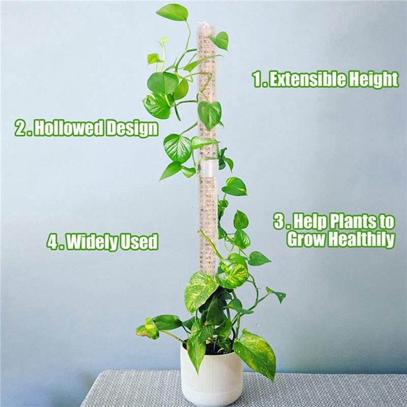 Moss Pillar Moss Scaffold Plant Climbing Stereotype Column High Quality Plant Climbing Fixed Column