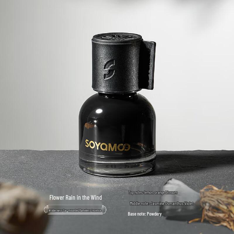 Oujie Wang Car Flameless Aroma Diffuser