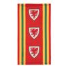 FA Wales Retro Snood