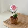Simulated Flower Hand Woven Small Potted Plant Tulip Sunflower Hook Weaving Desktop Decoration Simulated Flower Ornament Gift