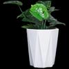 Large Octagonal Low-Profile Ceramic Flower Pot