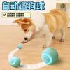 Pet Cat Toys, Smart Rolling Balls, Self-entertainment Boredom Balls,magic Tools,biting Resistant Cat Toys,dust-free Pet Supplies