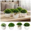 Décor Extérieur Fleur Artificielle avec Pot Plantes Fausse Vertes Nouveau Bonsaï Vert en Pot Bureau