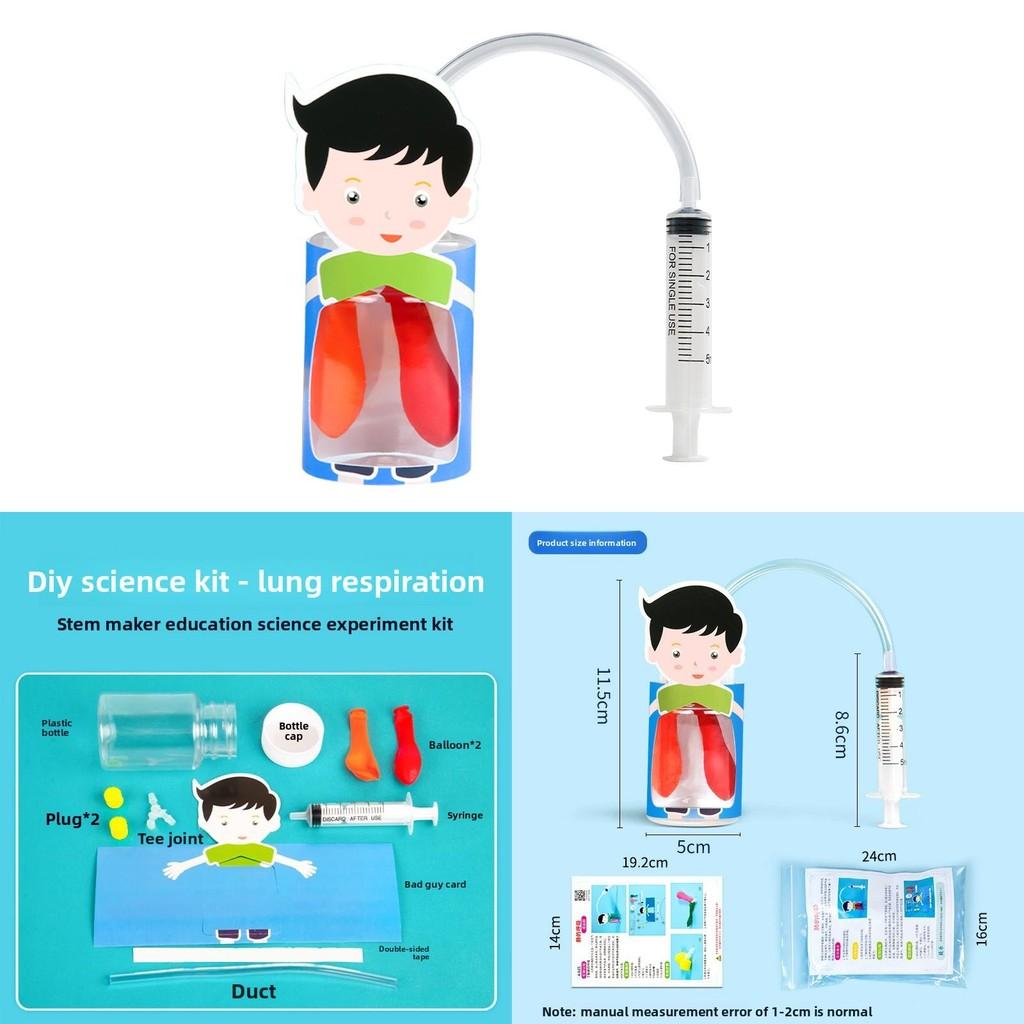 Kids Diy Physiology Model Of Lung Movement For Science Education And Handson Learning